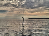 idif0009.jpg