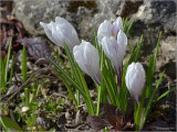 dsc_2304.jpg