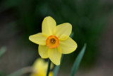 dsc_7236.jpg