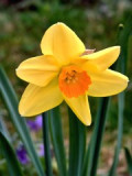 pict1292.jpg