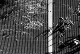 1307_6668-edit.jpg