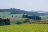 dsc_0013-(2).jpg
