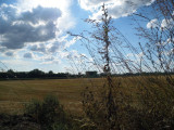 p1030003.jpg