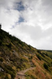 dsc_7810.jpg