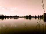 pict0706.jpg