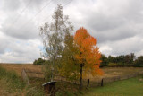 dsc_9279.jpg