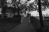 img_7981.jpg