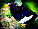 dscf2167.jpg