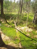 100_3337.jpg