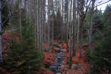 dsc_0073.jpg
