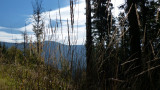 p1300353.jpg