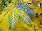 20-dsc00023.jpg