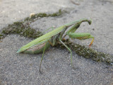 pa030485.jpg