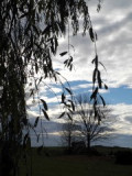 dscn7092.jpg