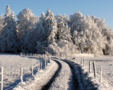 22.11.11.-026.jpg