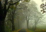 img_7950.jpg