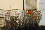 dsc_9216.jpg