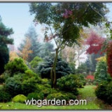 wbgarden-ornamental-garden-2.jpg
