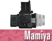 PSD_mamiya_rz22_listopad_2010-nahled1.jpg