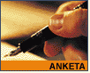 Embax anketa