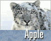 apple-snowleopard-nahled3.gif