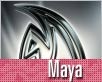 maya-2011-nahled1.jpg