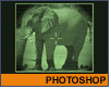 Photoshop tutoriál slon