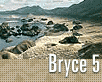 Bryce 5