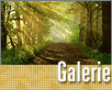 ts_gal-06-2008-nahled3.gif