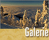 ts_galerie_06-01-nahled3.gif