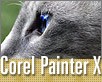 ts_grafika_corel_painter_x-nahled1.jpg