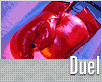 duel