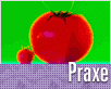 flash velikost resize