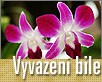 ts_grafika_white_balance_praxe-nahled1.jpg