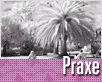 DF praxe infrared