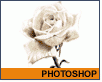 Photoshop Lucinka tablet růže