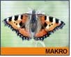 ts_motyl-nahled1.jpg