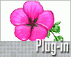 Photoshop květina plug-in