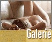 ts_top10-folvarcny-nahled1.gif