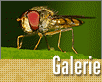 ts_top12galerie-cerven2-nahled1.gif