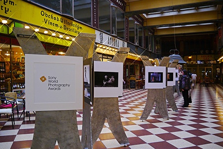 Sony World Photography Awards: výstava v Lucerně