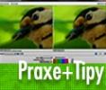 zps15praxe_124px-nahled1.jpg