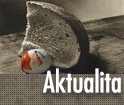 dox_aktualita_124px-nahled3.jpg